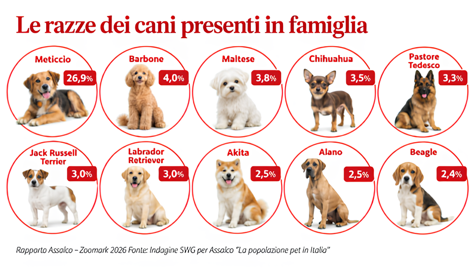 Rapporto Assalco-Zoomark 2026 (Barbone 4%)